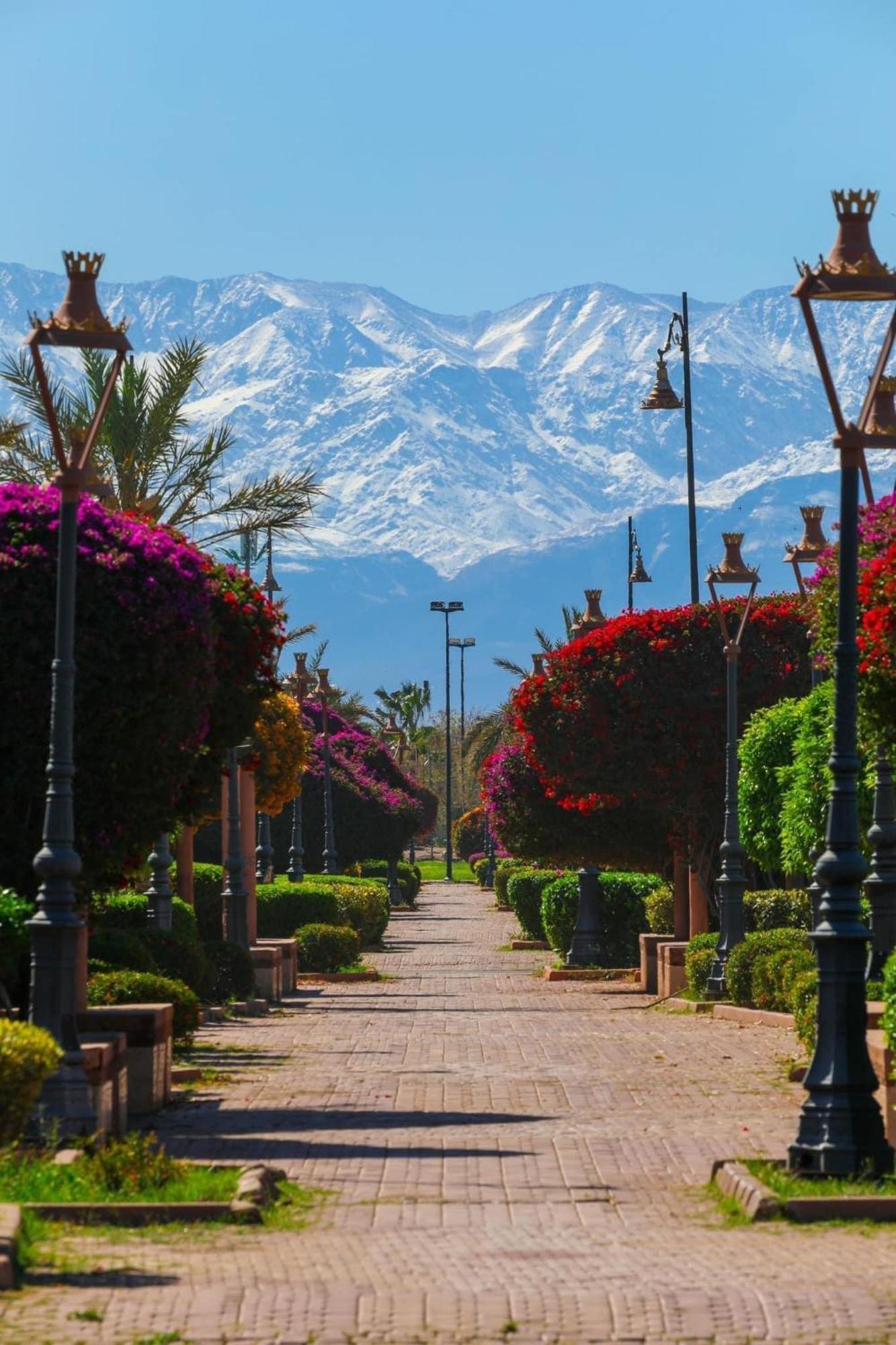 Riad Majestic Marrakech Marrakesh Esterno foto