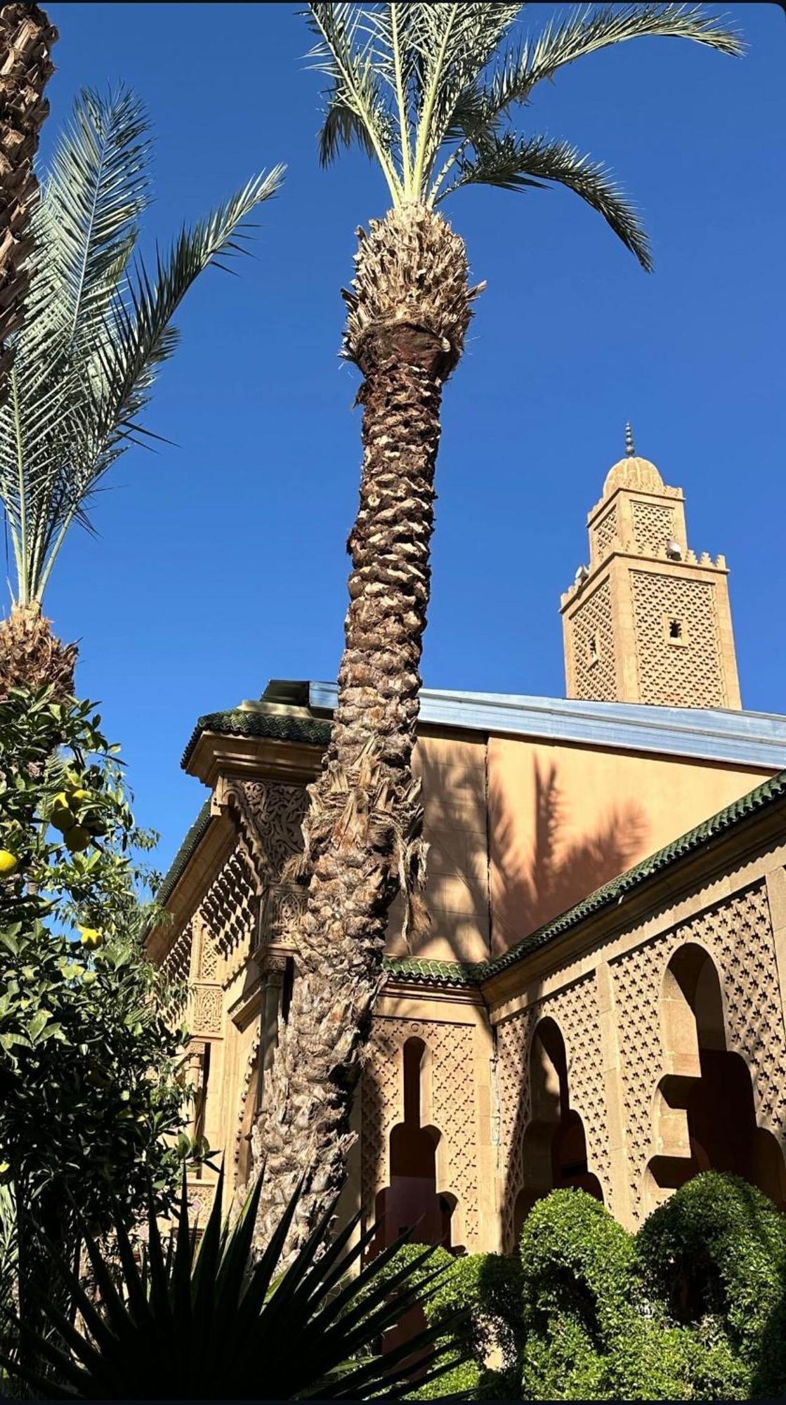 Riad Majestic Marrakech Marrakesh Esterno foto
